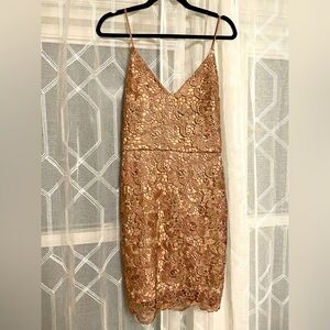 Express Dusty Mauve Lace Midi Dress